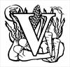 Letter V Vegetables coloring page