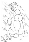 Animal bear Jungle Book coloring page