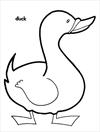 Duck coloring page