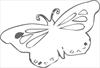 Butterfly 1 coloring page