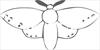 Butterfly 3 coloring page