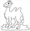 Camel coloring page