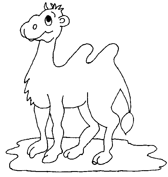 Camel coloring page