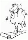 Camel star coloring page