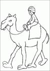 Camel travel coloring page