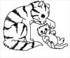 Cats coloring page