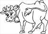 Cow 2 coloring page