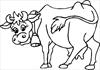 Cow 2 coloring page
