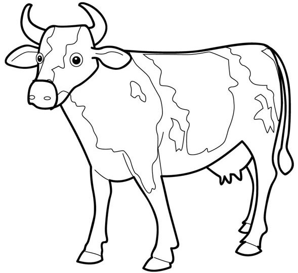 Free cow parts coloring pages