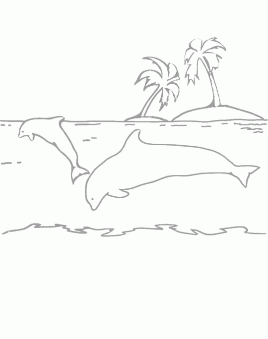 Dolphins 2 coloring page