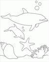 Dolphins coloring page