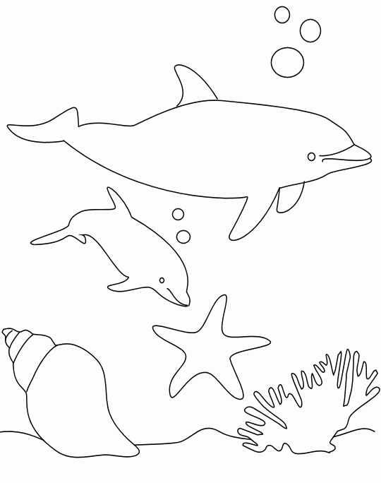 Dolphins coloring page