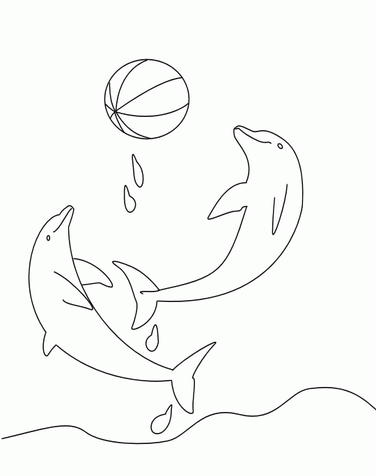Dolphins playing coloring page