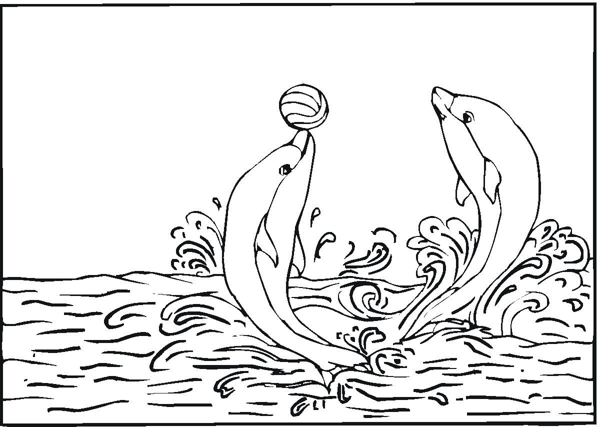 Dolphins playing with ball coloring page