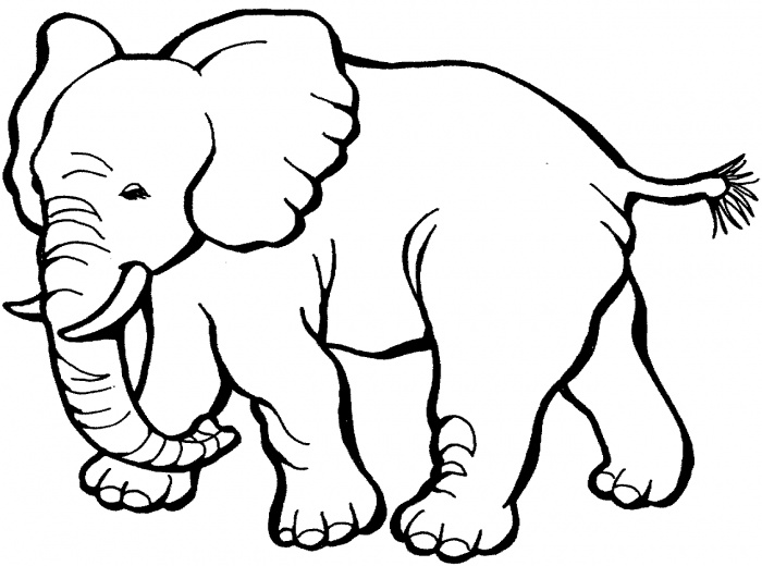 Elephant 3 coloring page