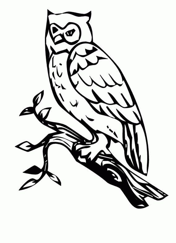Owl 2 coloring page