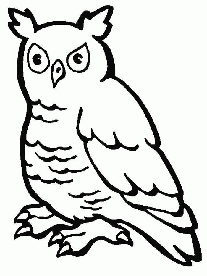 Owl coloring page