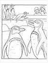 Penguin family coloring page