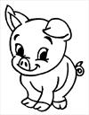 Pig coloring page