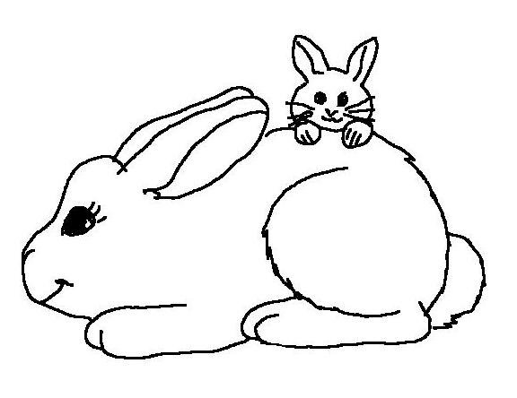 Rabbits coloring page