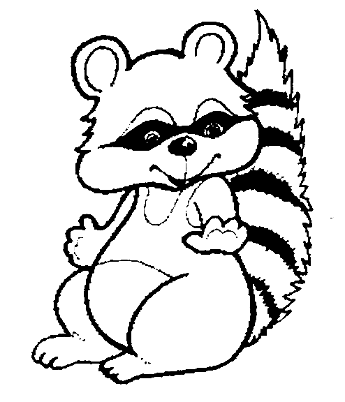 Raccoon coloring page