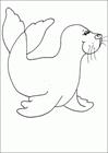 Swimming seal coloring page