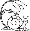 Snail coloring pages