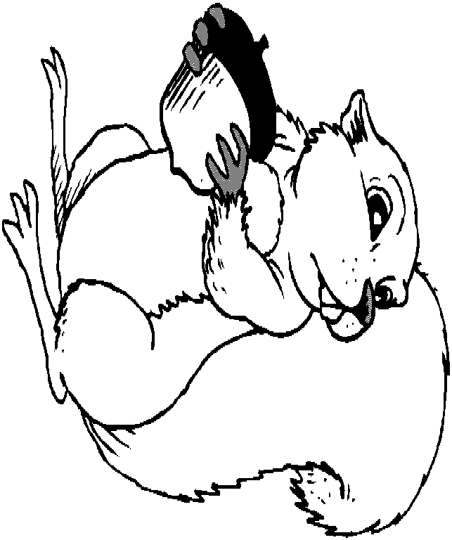 Squirrel with acorn coloring page