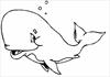 Whale coloring page