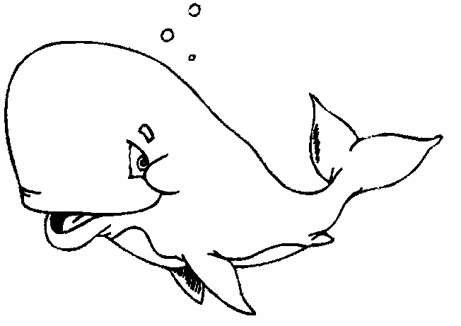 Whale coloring page