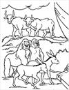 Noah animals coloring page