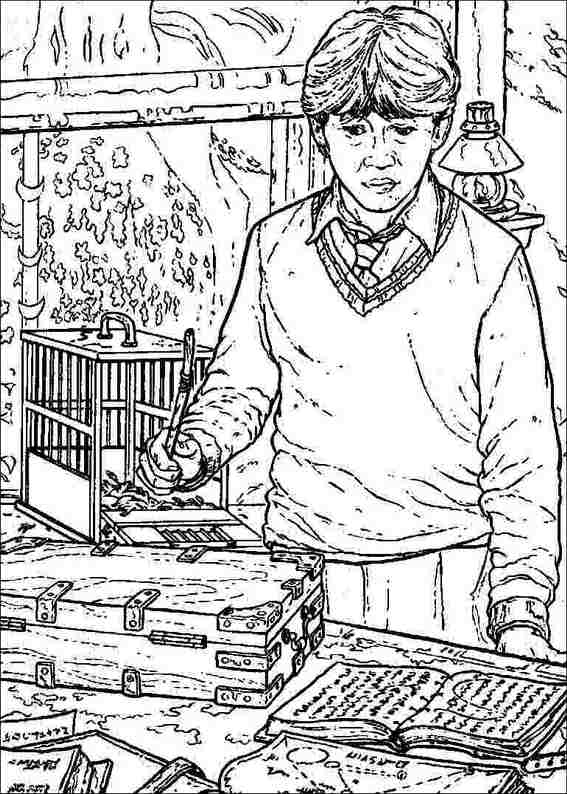 Harry Potter 049 coloring page
