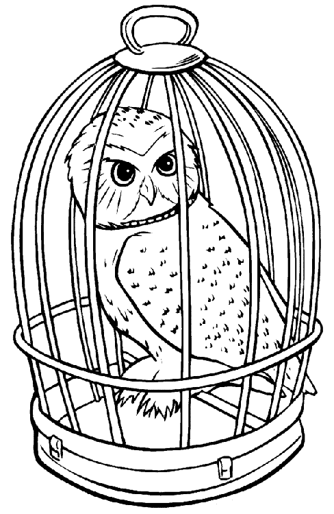 Harry Potter owl coloring page