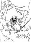 Spiderman 072 coloring page