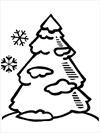 Pinetree coloring page