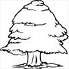 Tree 6 coloring page