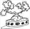 Tree bonsai coloring page