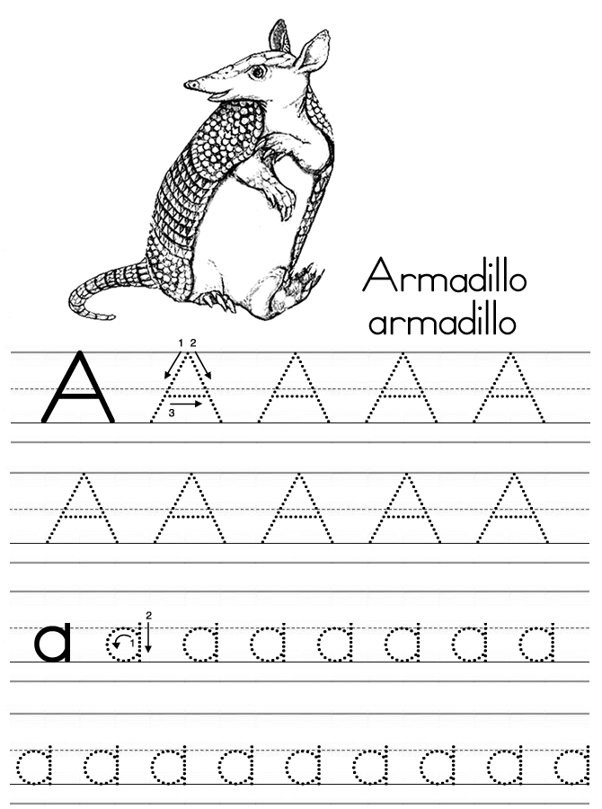 Alphabet ABC letter A Armadillo coloring page